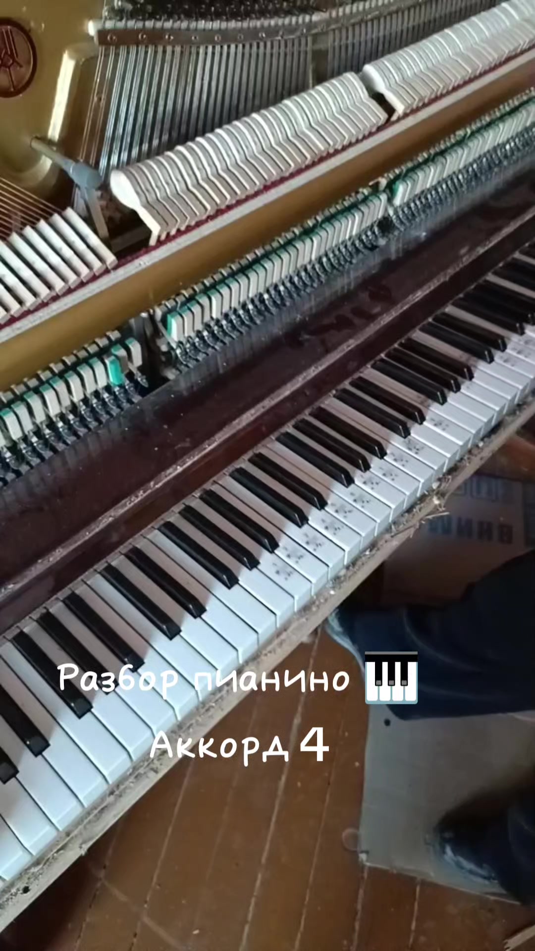 @Анна