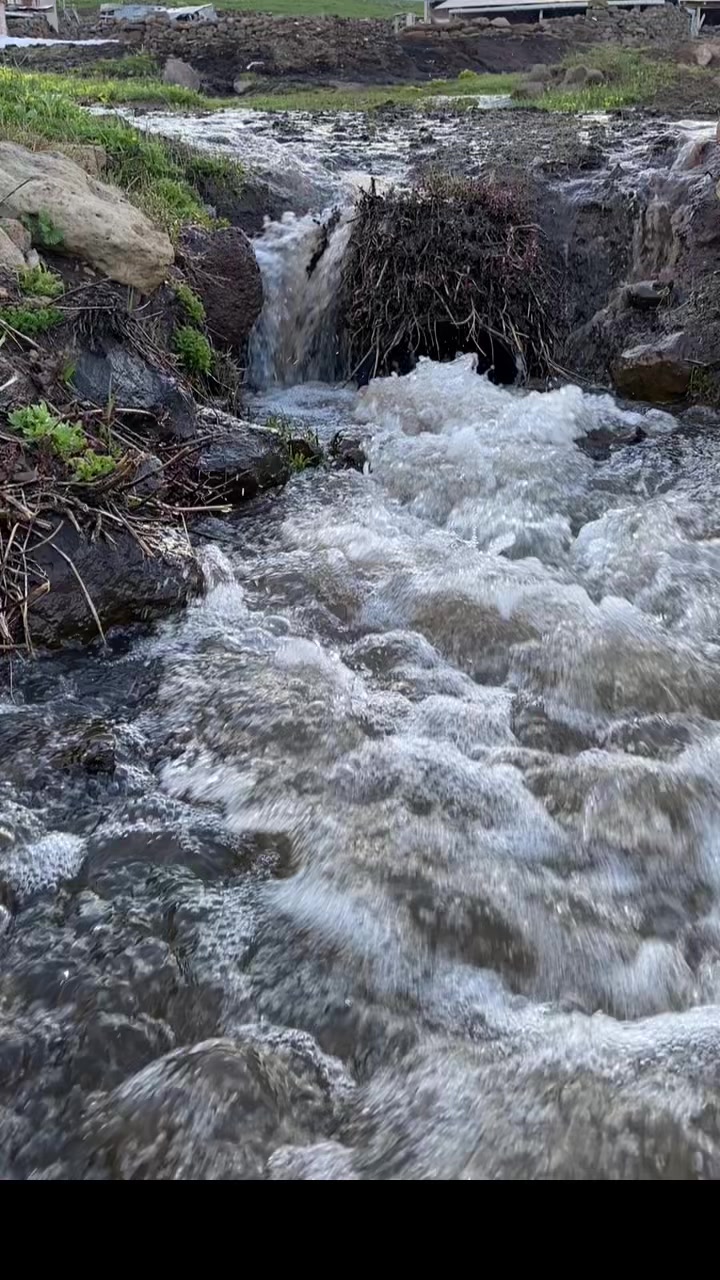 @doğukan