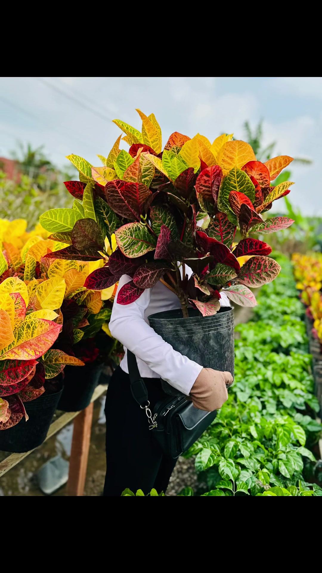 @Tiệm Lá Nhỏ