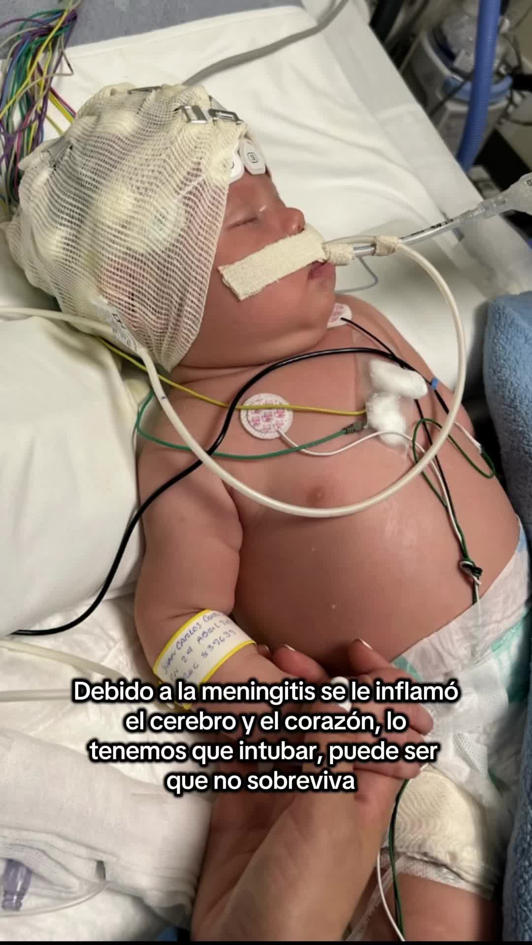 @Ingrid Cort&eacute;s