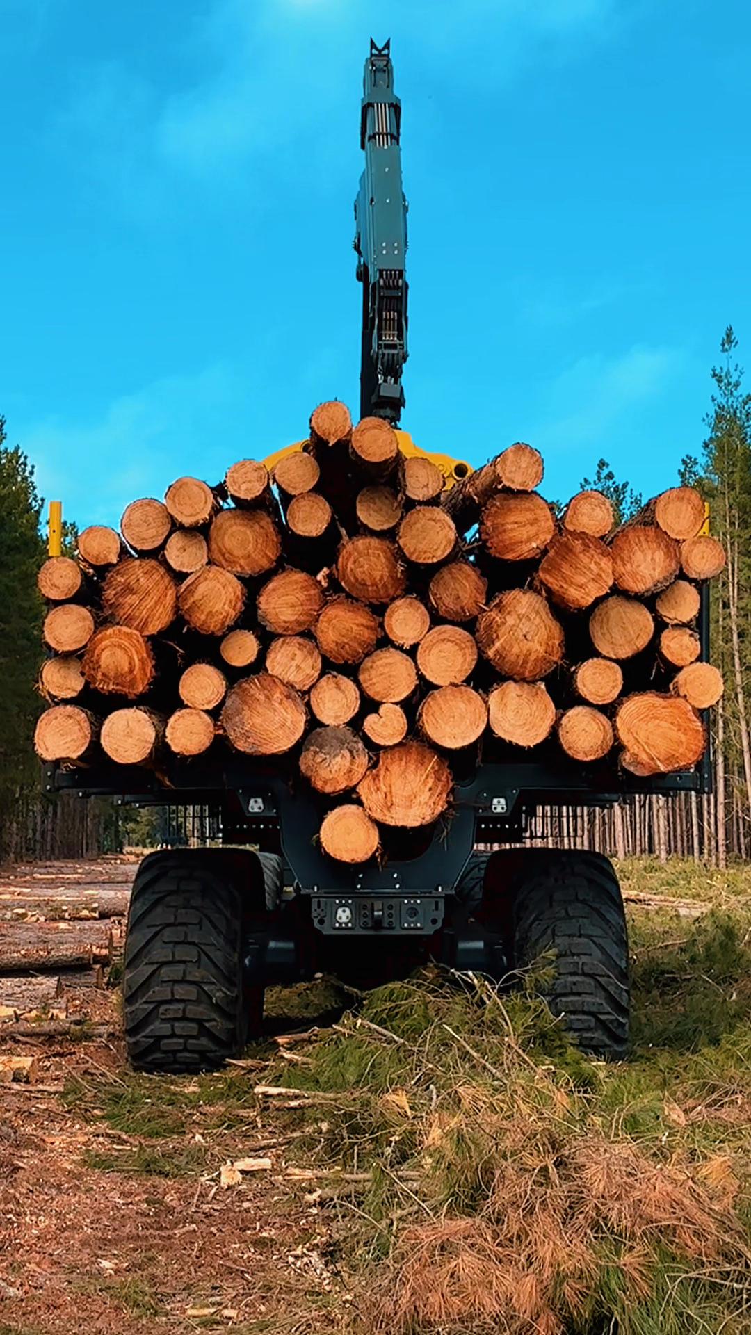 @MerrettLogging