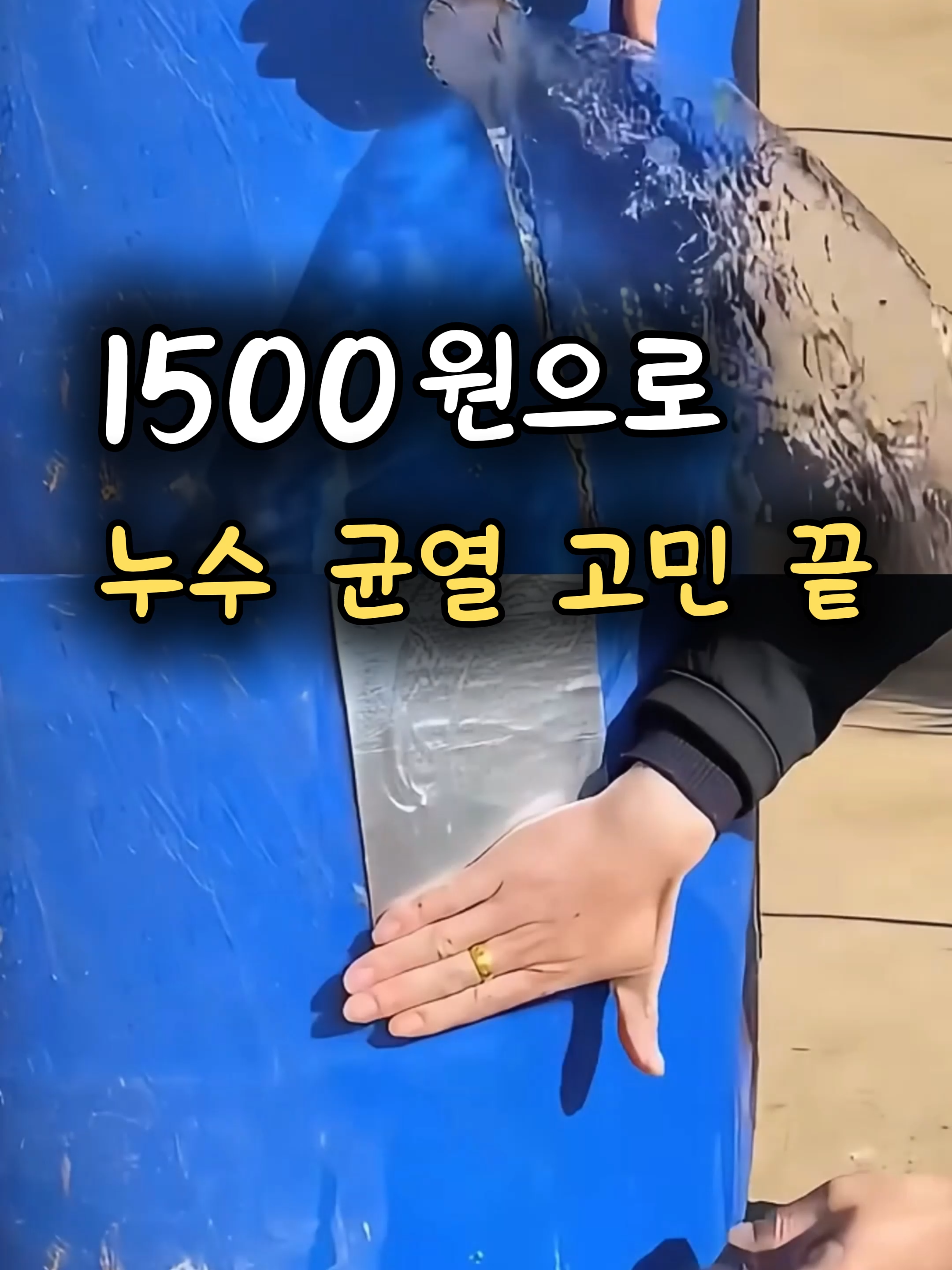 @부러쇼핑