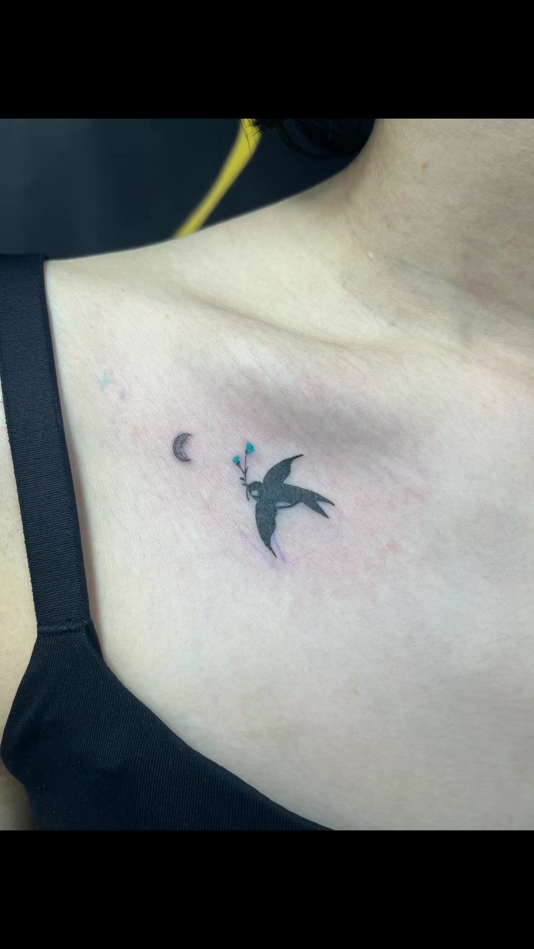 @Tattoocats.yochi