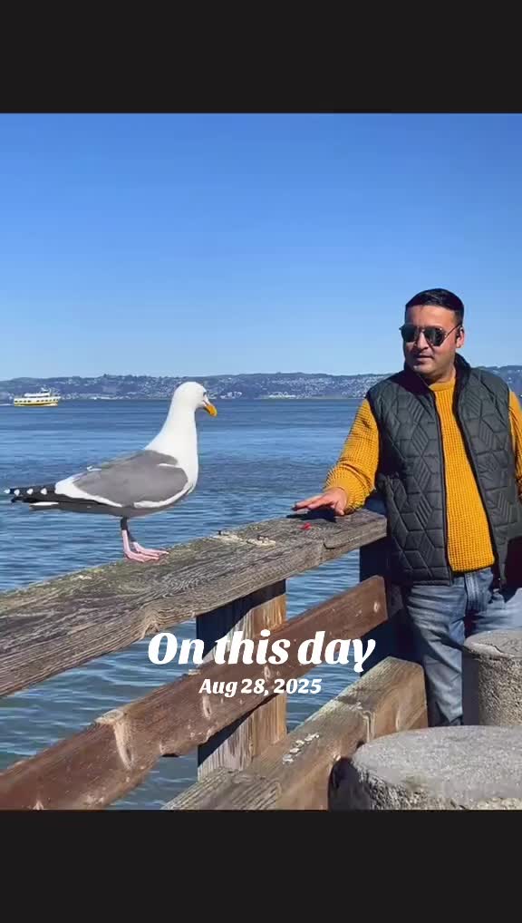@Mehran Afzali