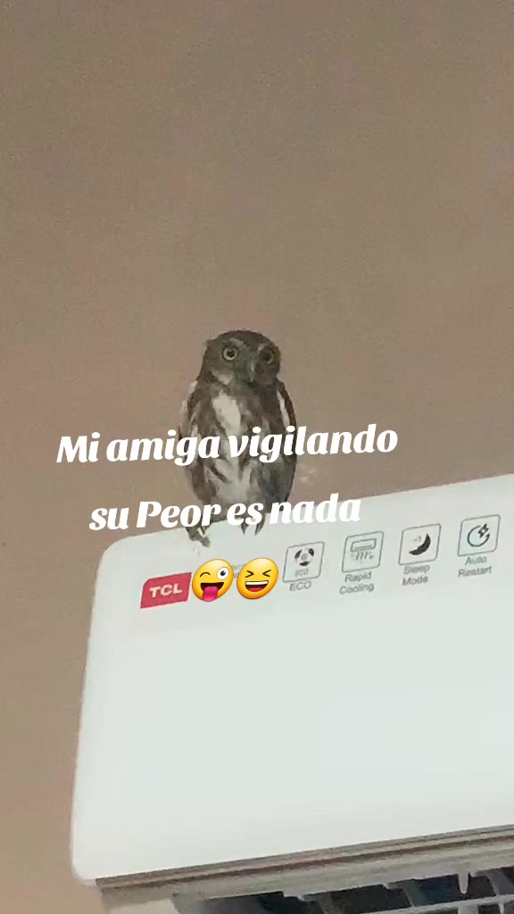 @🍀jesslim 🍄pineda 🍀