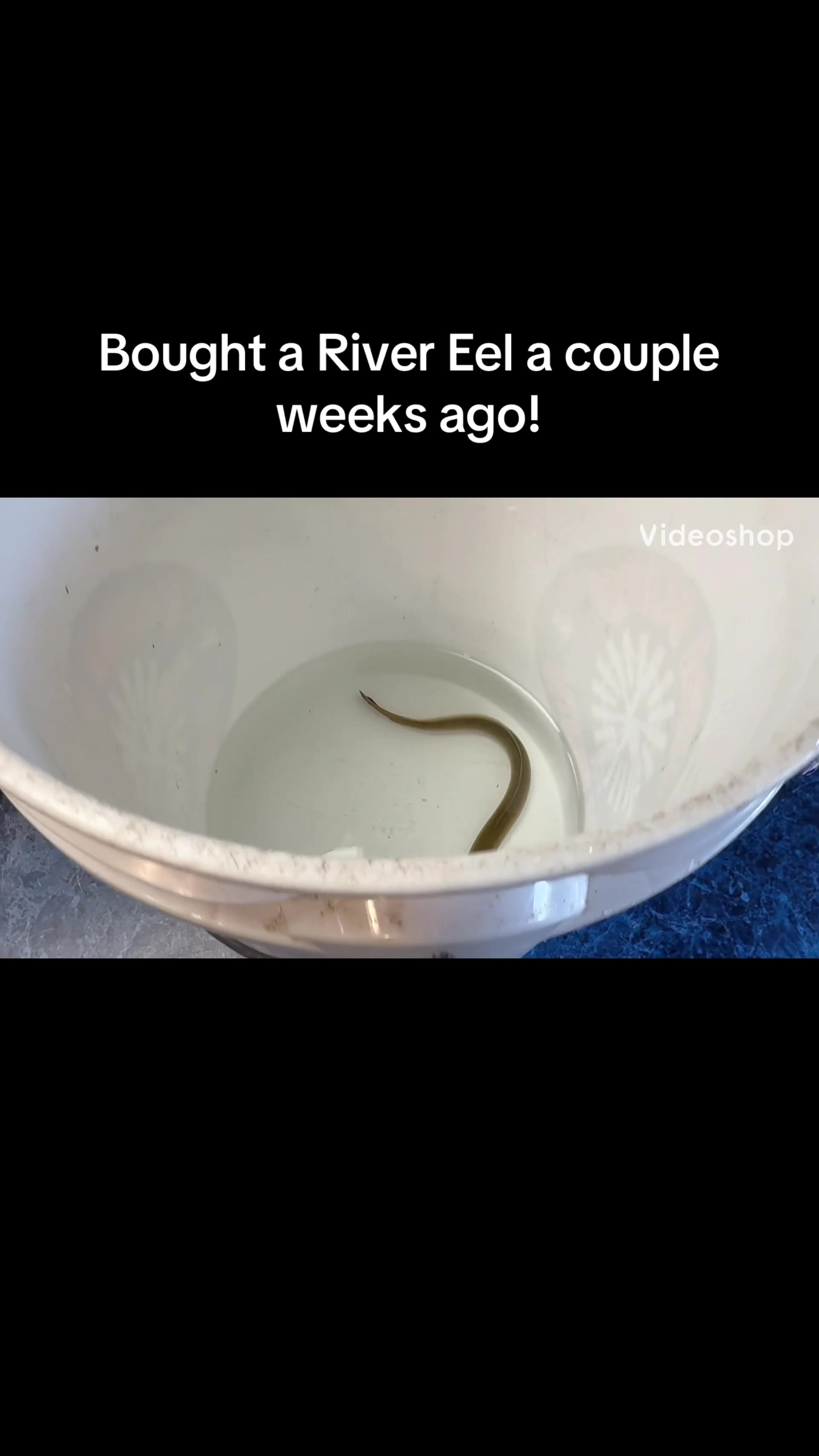 @fishdaddy2002