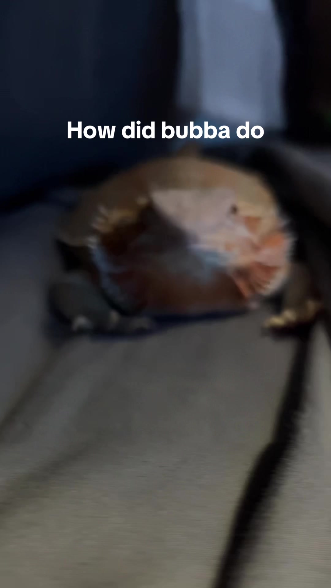 @Chris and bubba