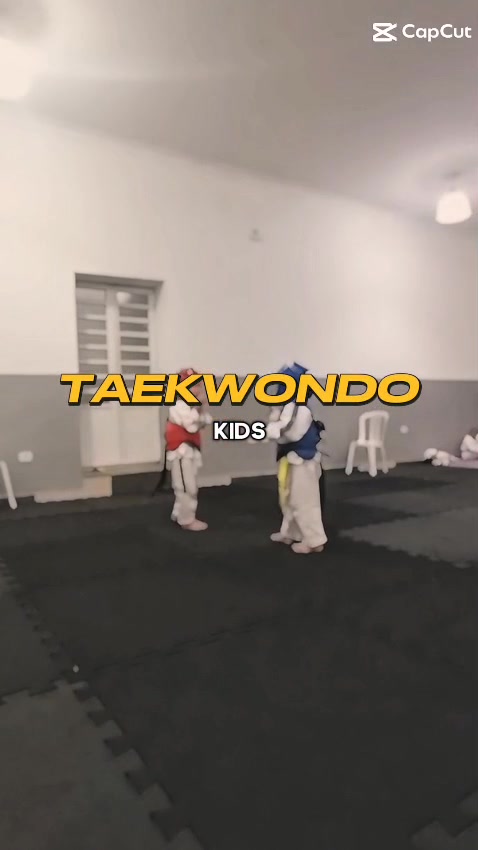 @Tavares TKD Fight