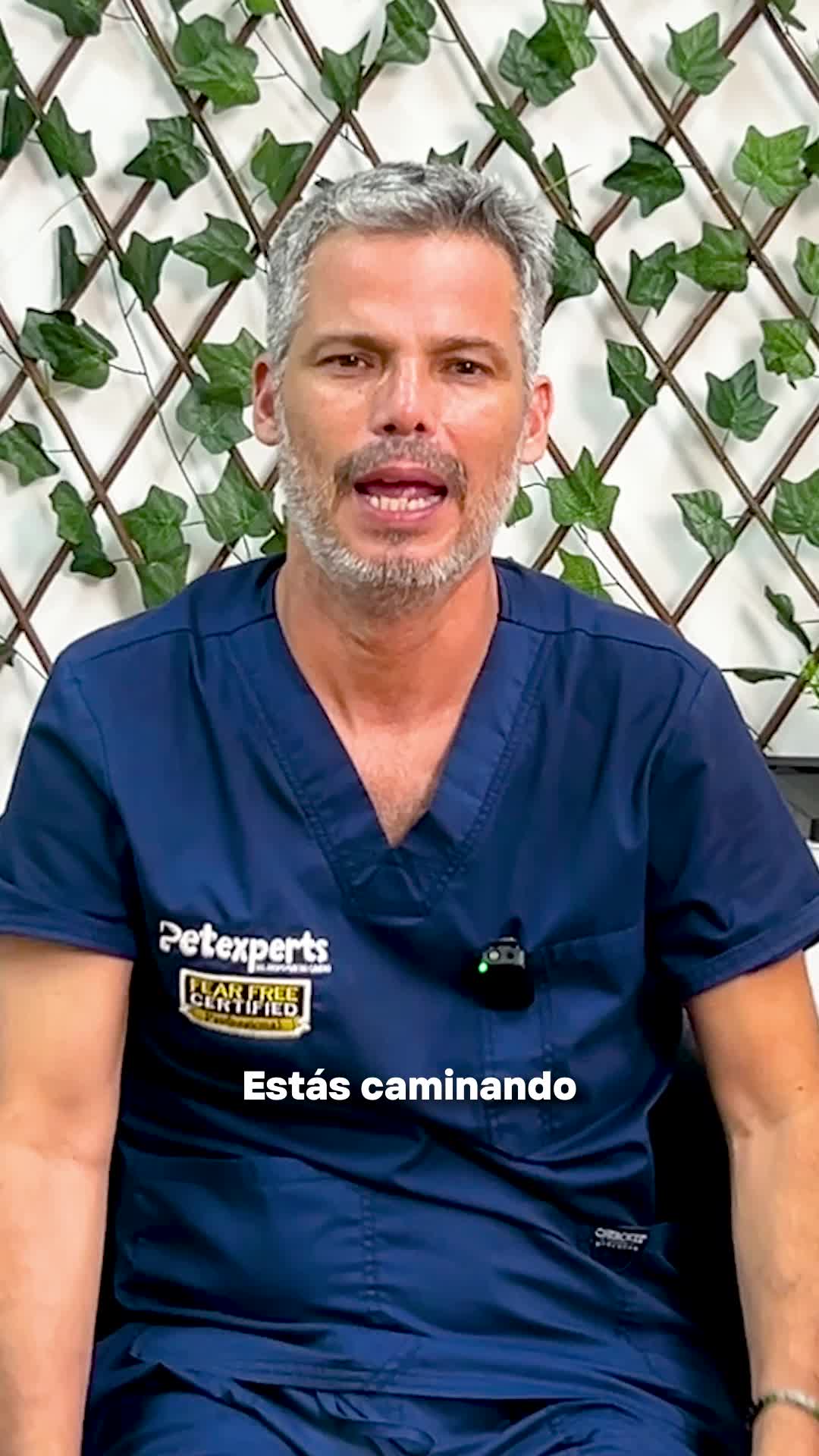 @Pancho Cavero