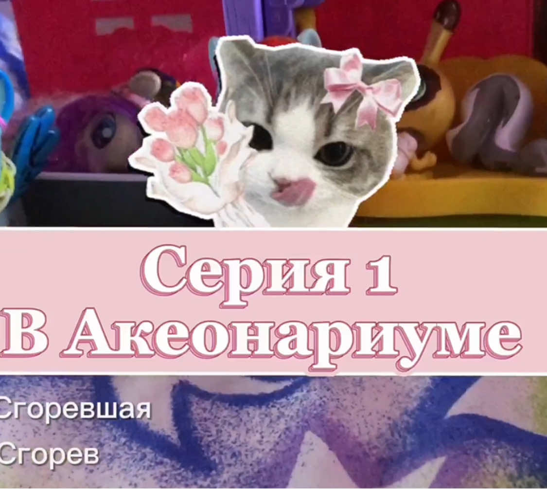 @𝑺𝒈𝒐𝒓𝒆𝒗𝒔𝒉𝒂𝒚𝒂.𝑴𝒍𝒑