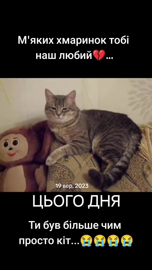 @Антоніна💙💛🇺🇦