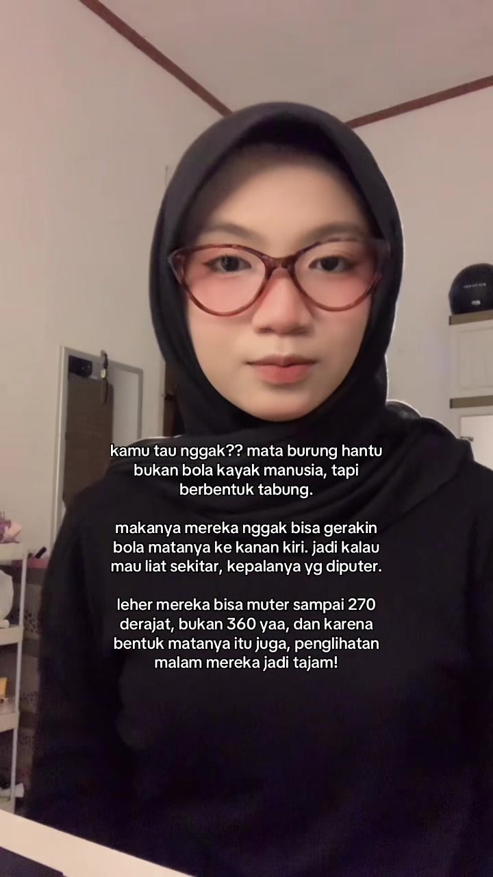 @inimellow || funfacts