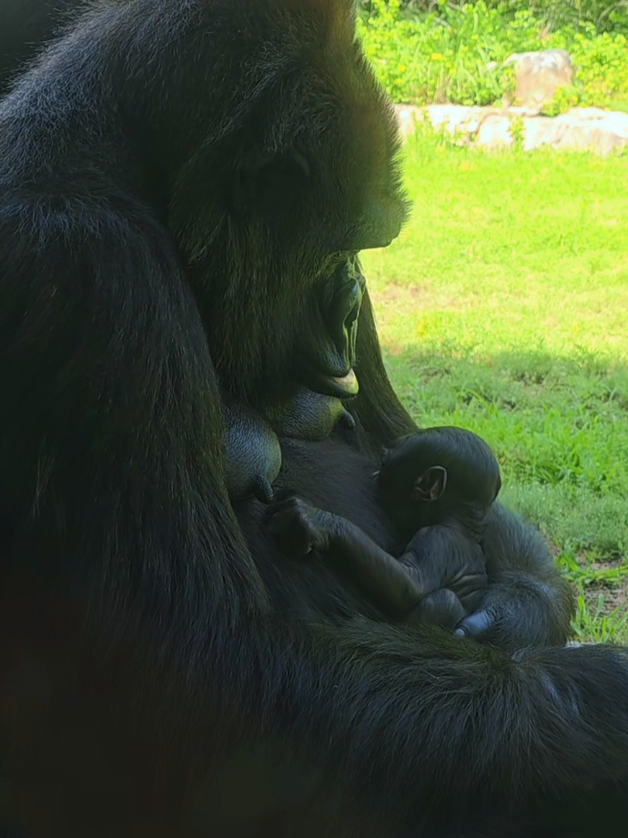 @Sedgwick County Zoo