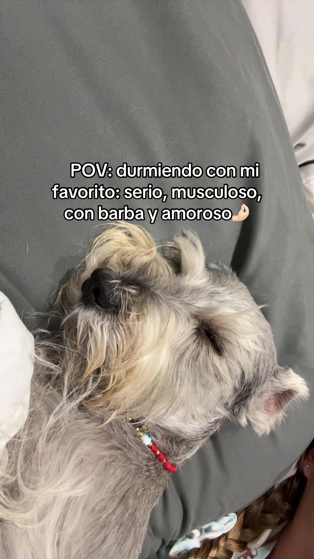 @vidadlanky