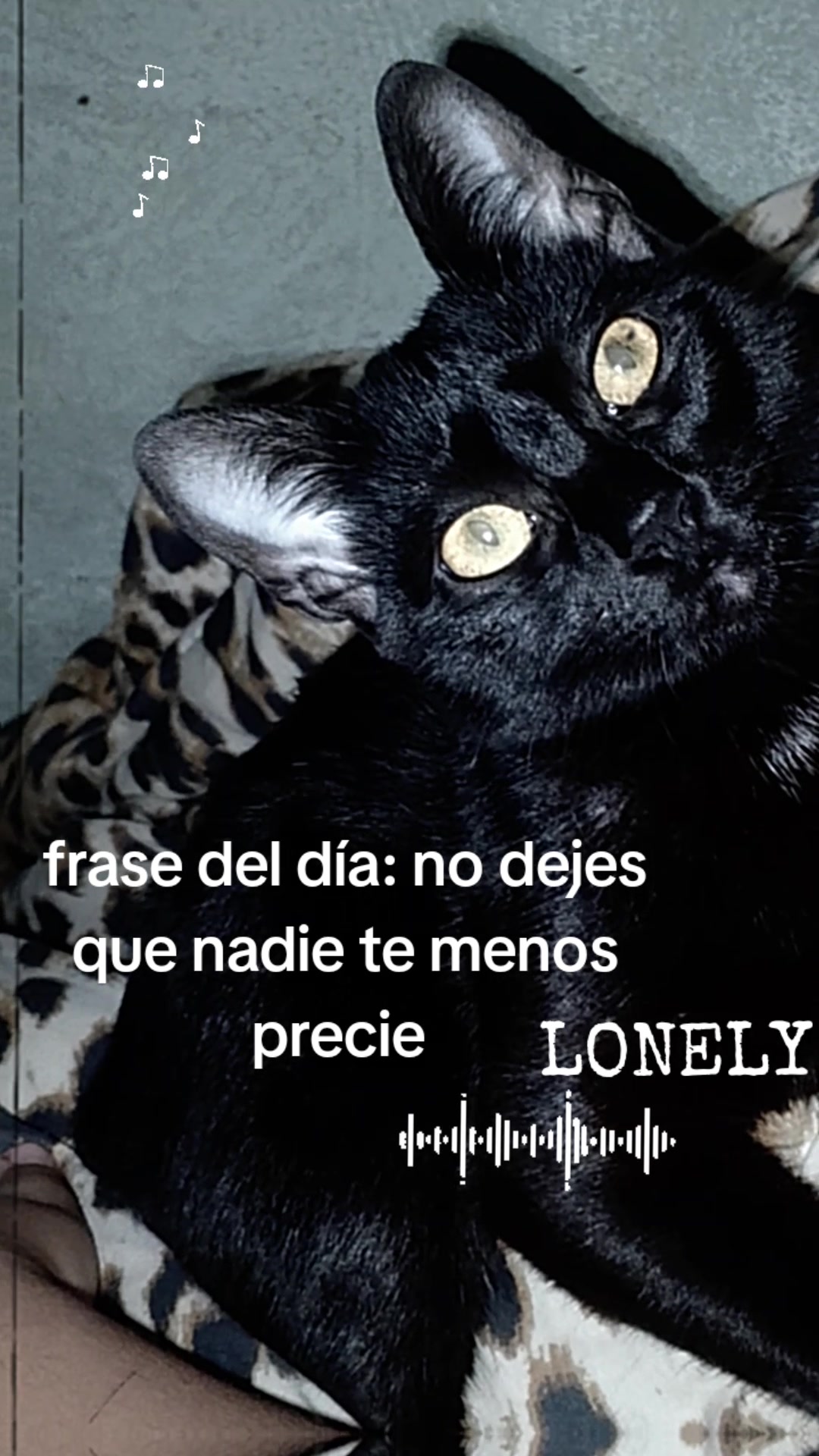 @Dany
