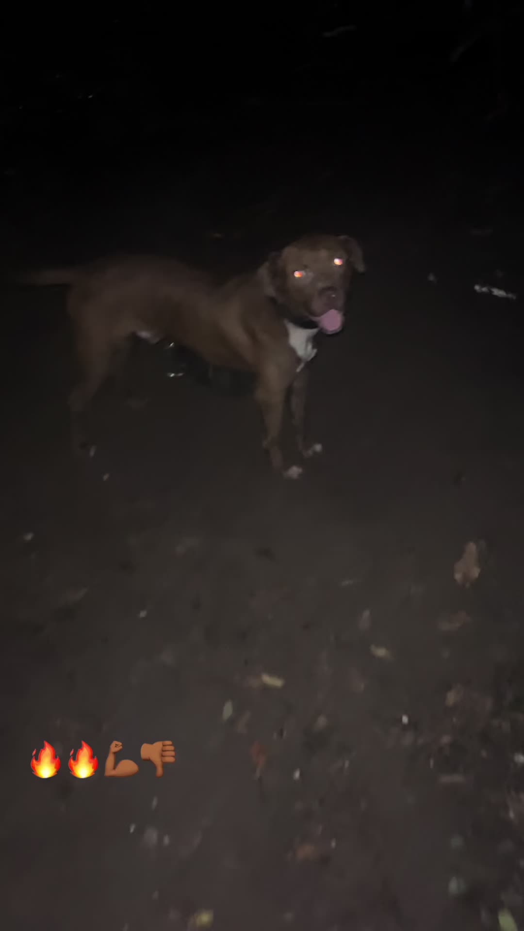 @kamwithapbt