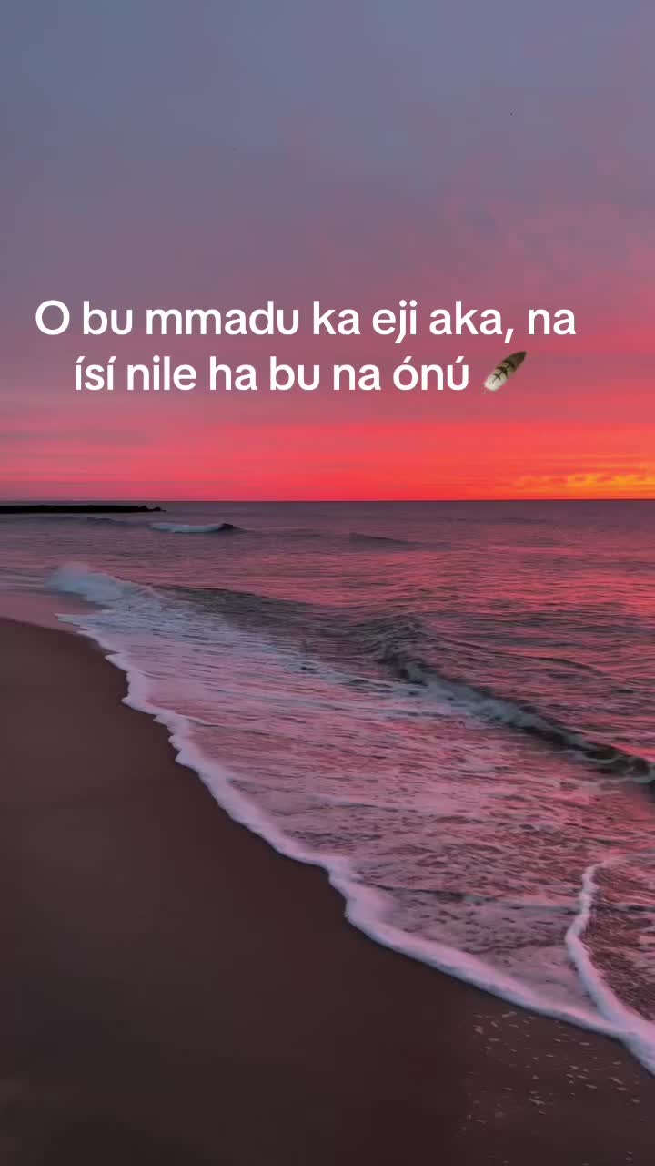 @NemeSys