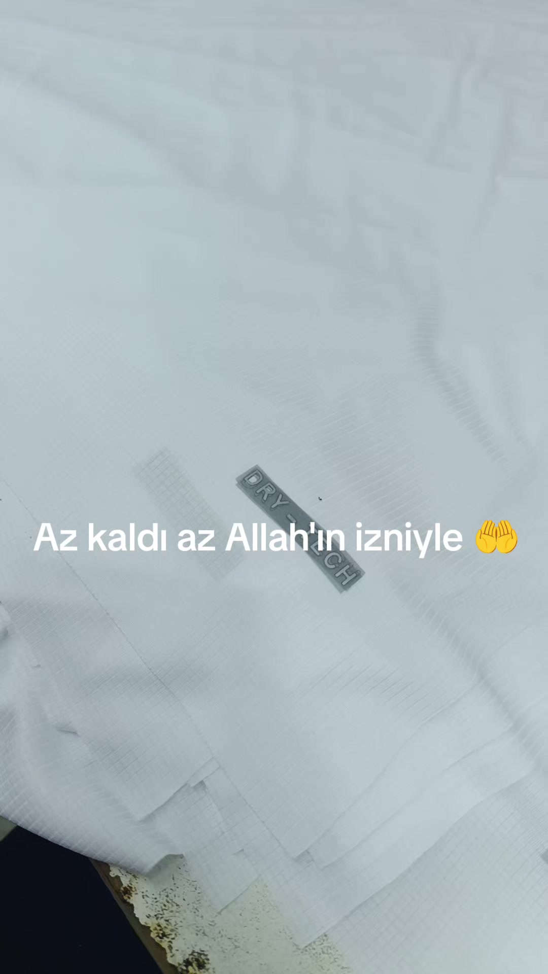 @papatya 🌼
