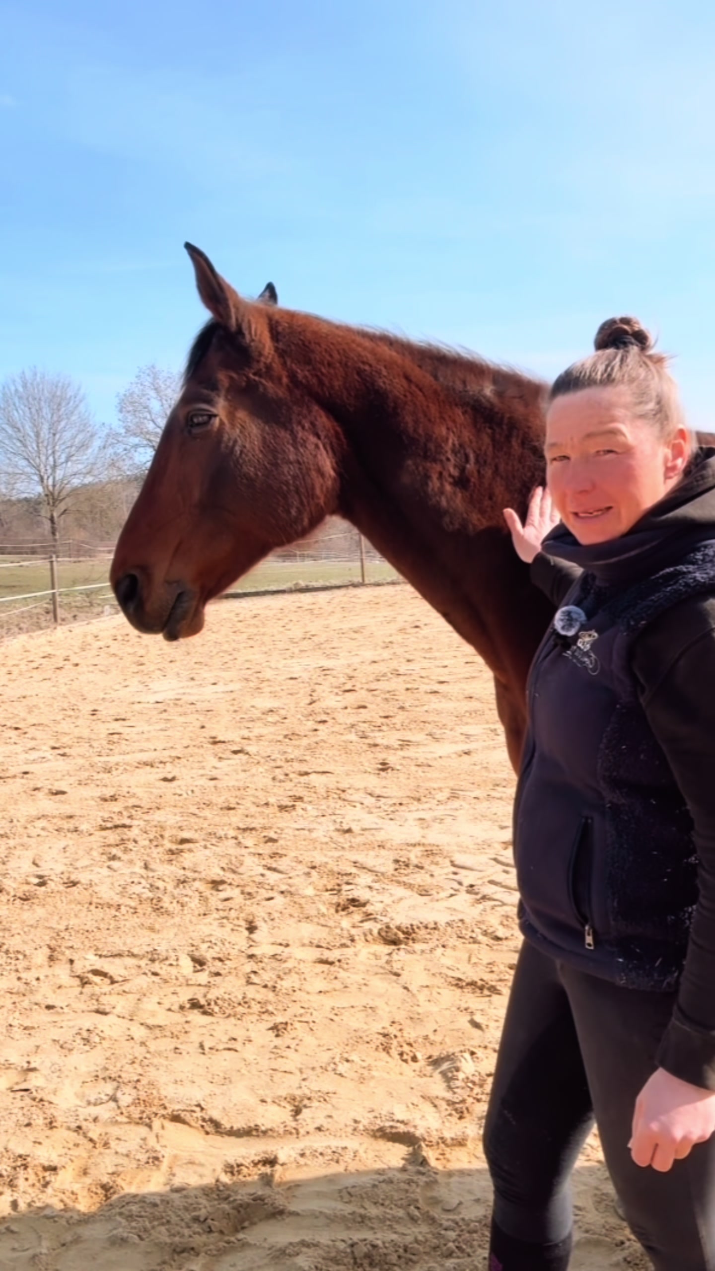 @equine_body_in_balance
