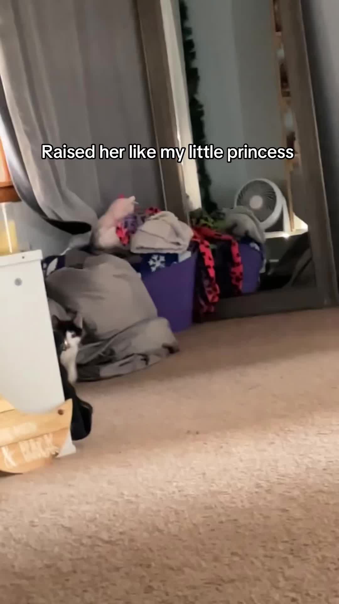 @Aly