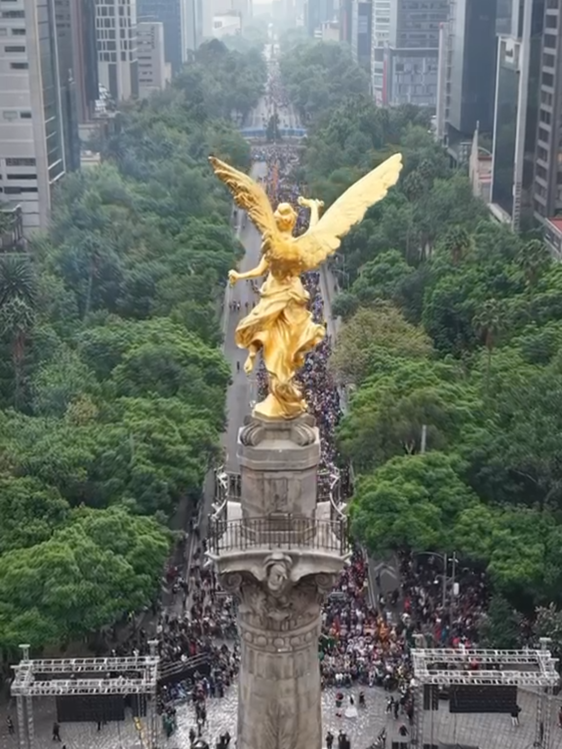 @elheraldodemexico