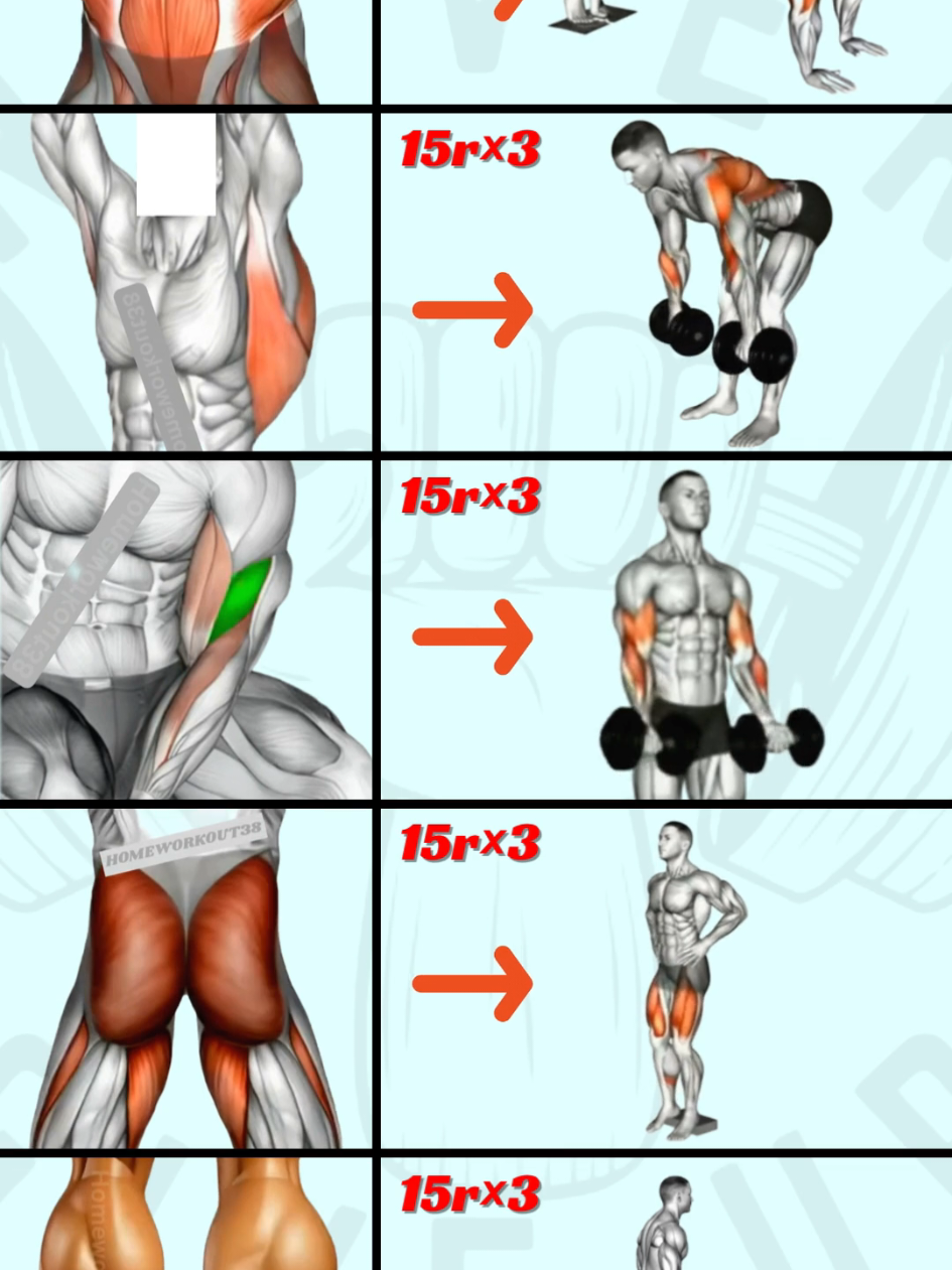 @HOMEWORKOUT