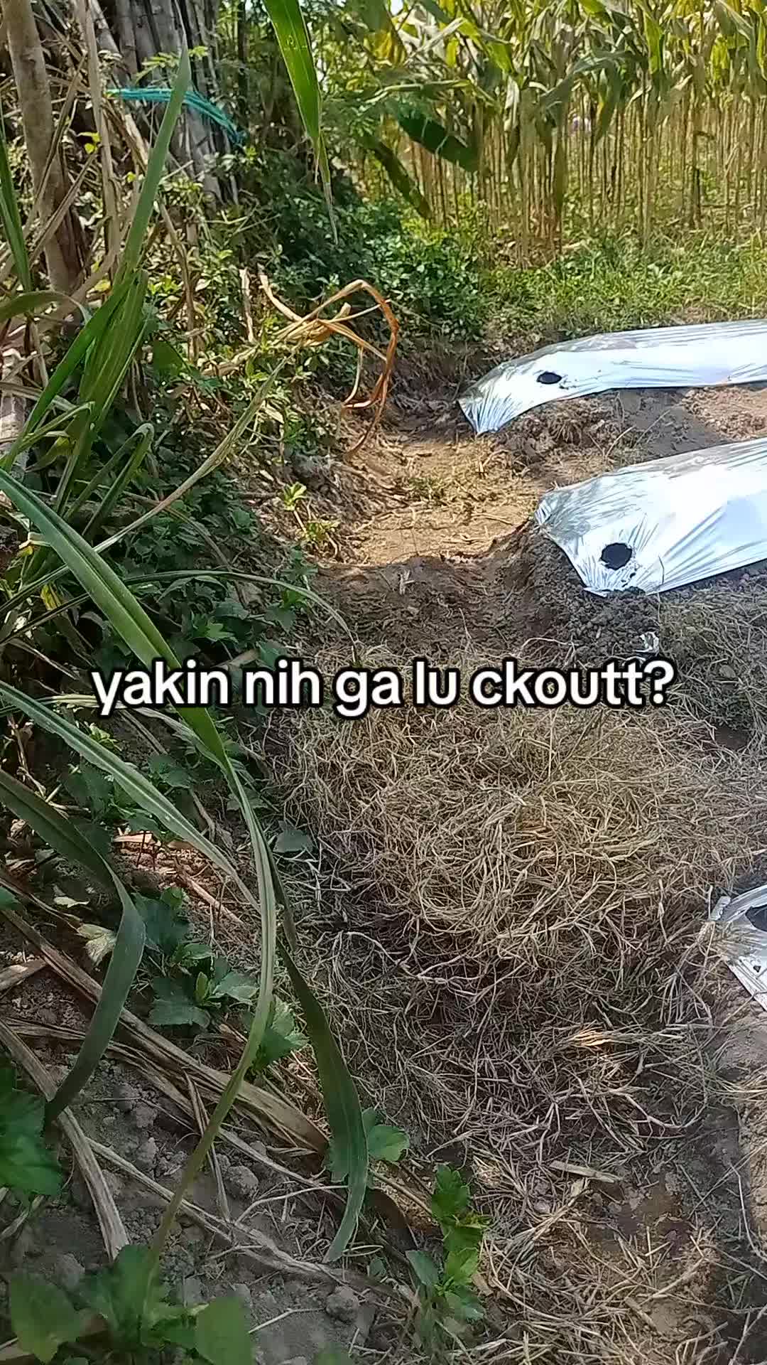 @smuabarang_ada