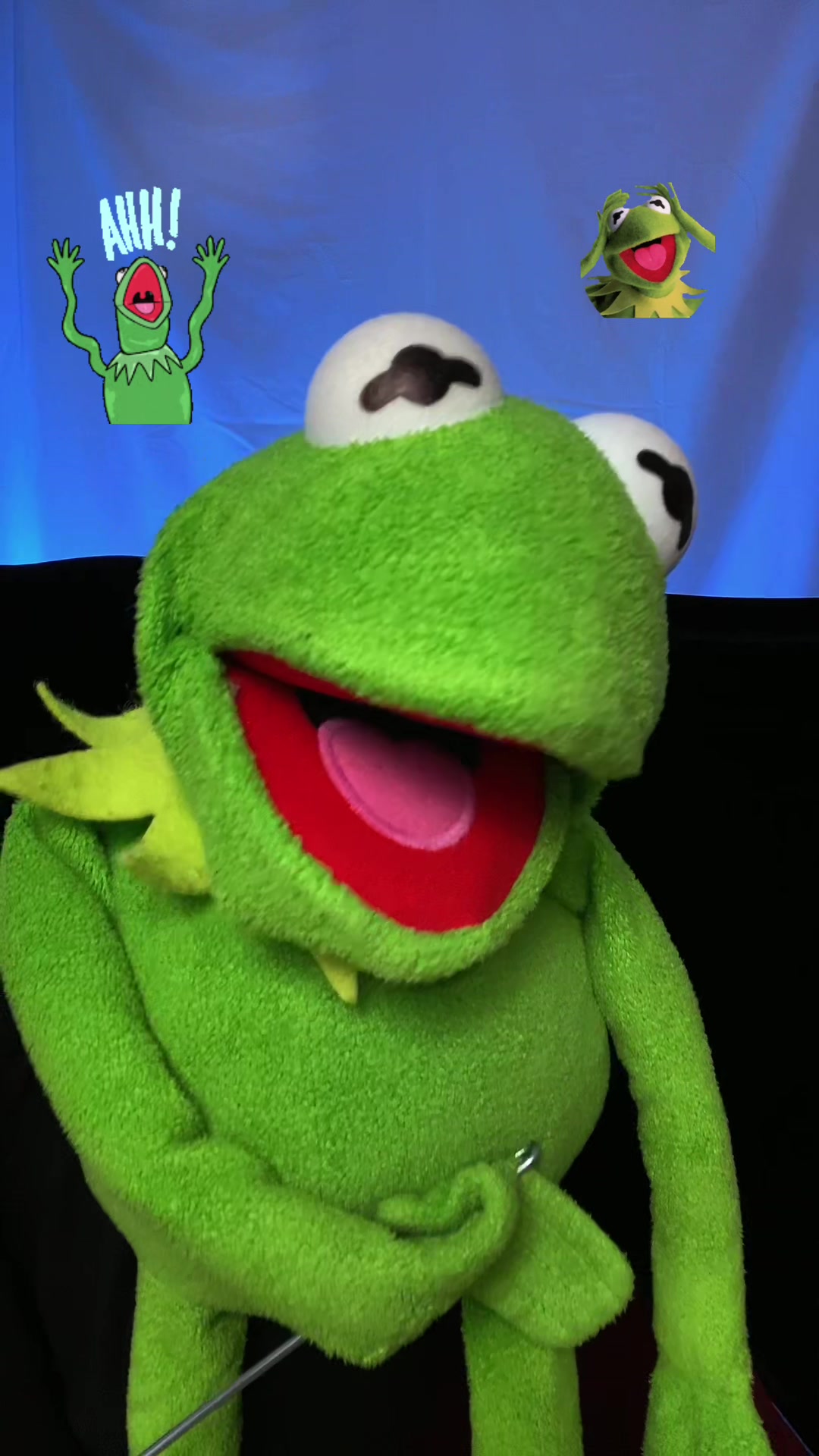 @Goodman&rsquo;s Wacky Puppets