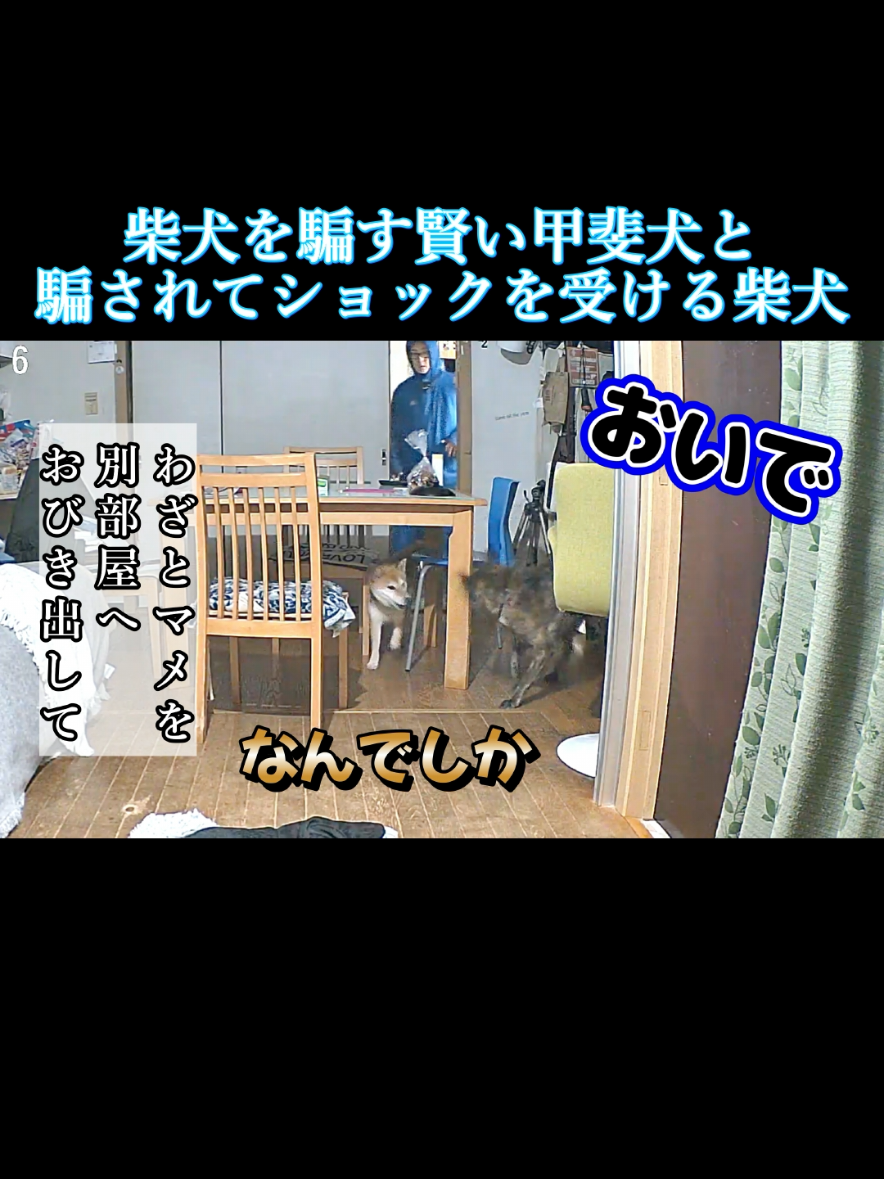 @川沿いに歩く妻サヲル
