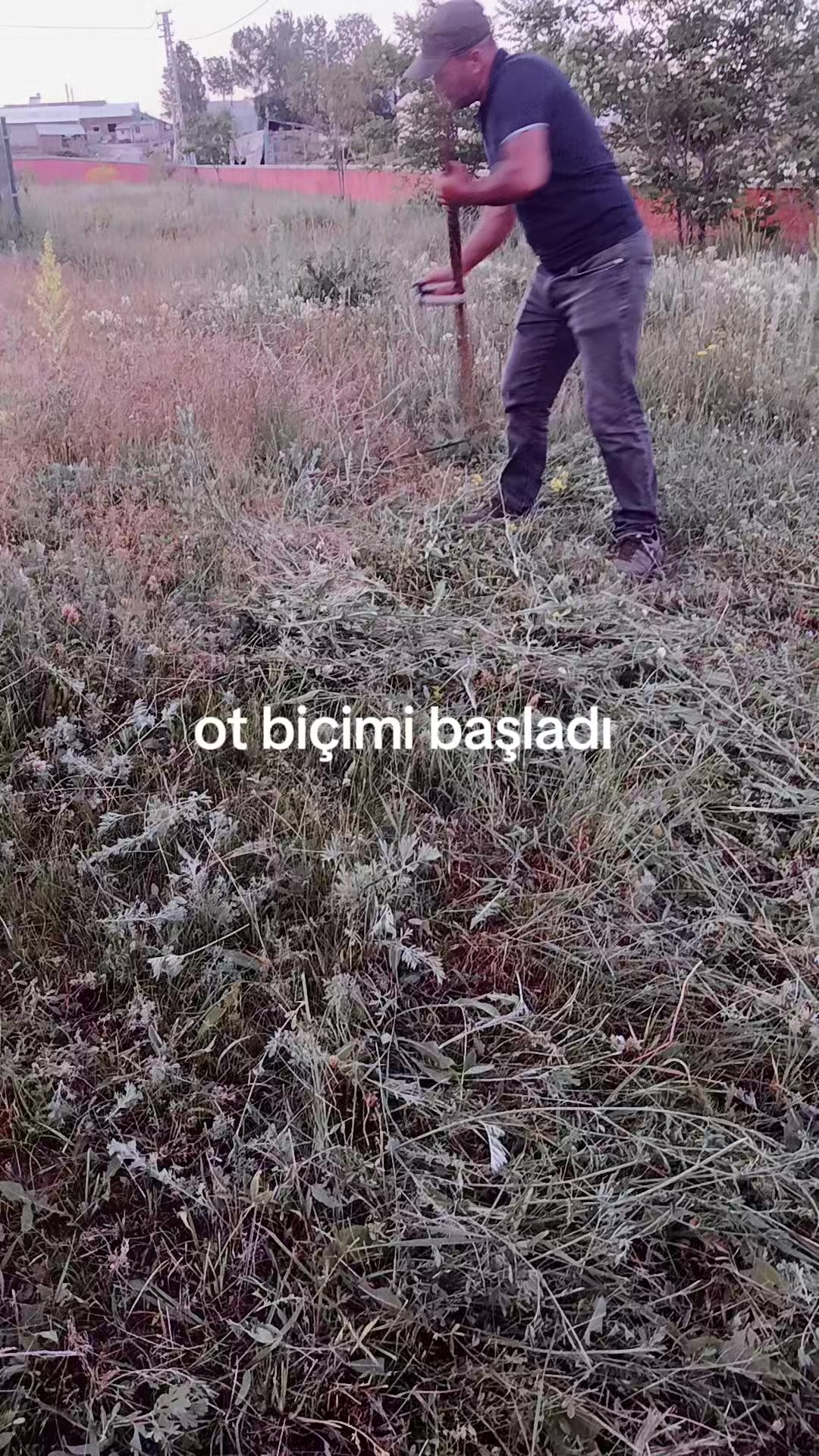 @erdogan 25