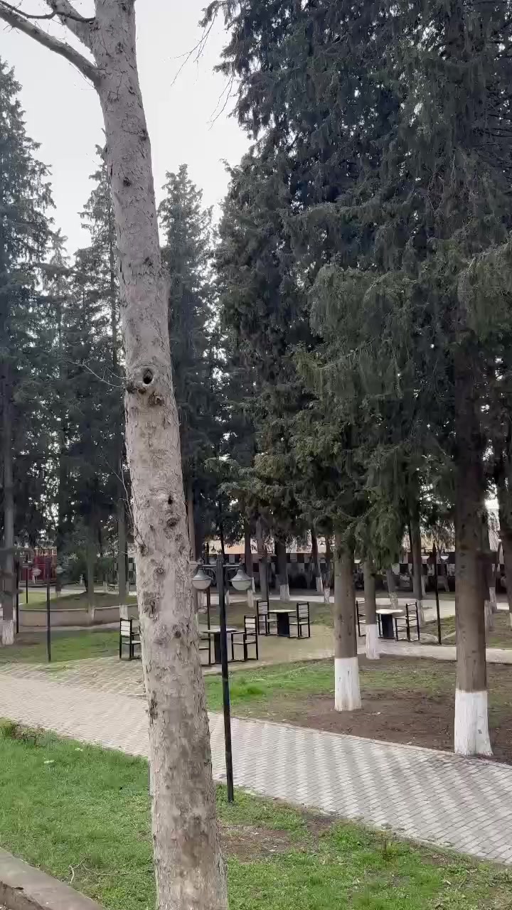 @🇦🇿