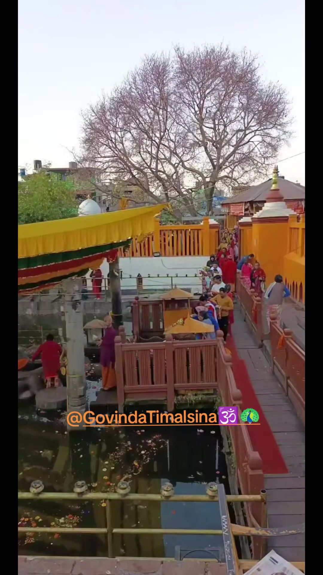 @Govinda Timalsina🕉🦚
