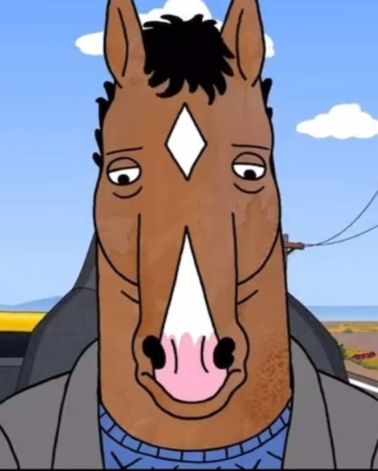 @Bojack clipz