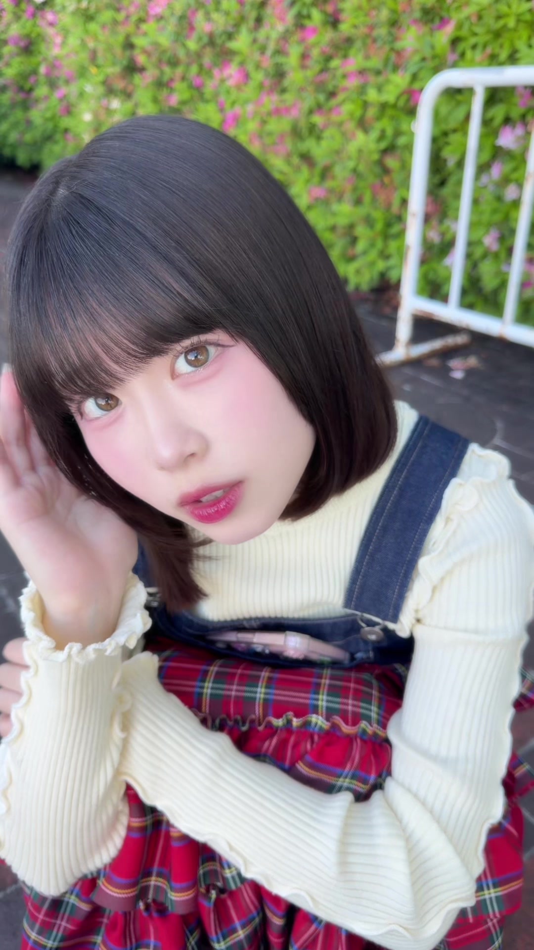 @表 すみれ (おもて すみれ)