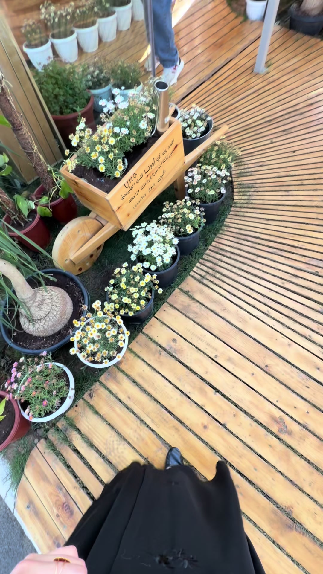 @اثير القحطاني🌱