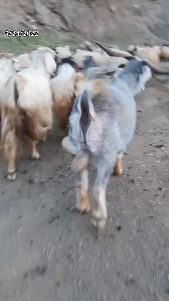 @_Coğrafya_Kaderdir_