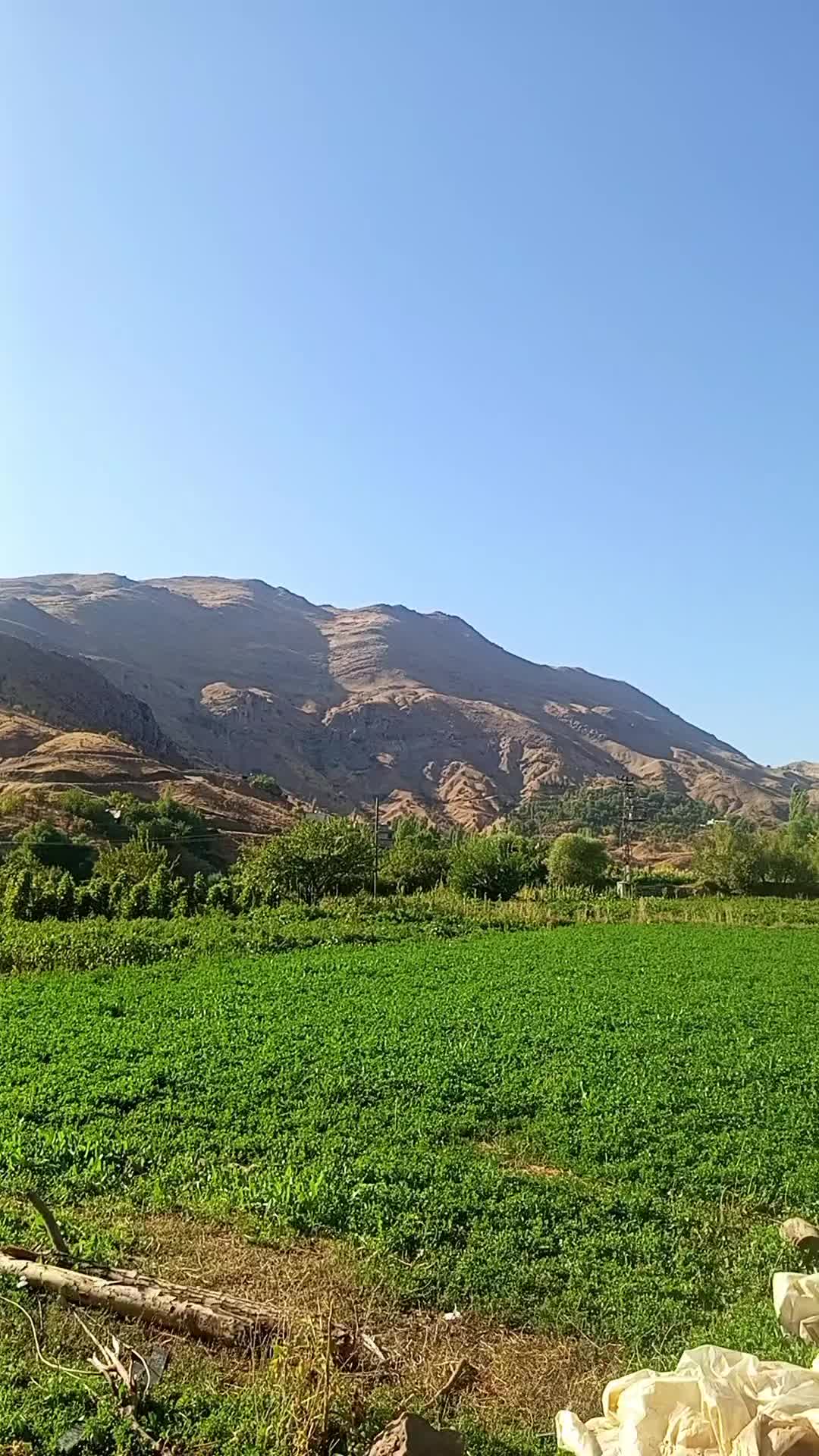 @Mahsum &Ouml;zcan