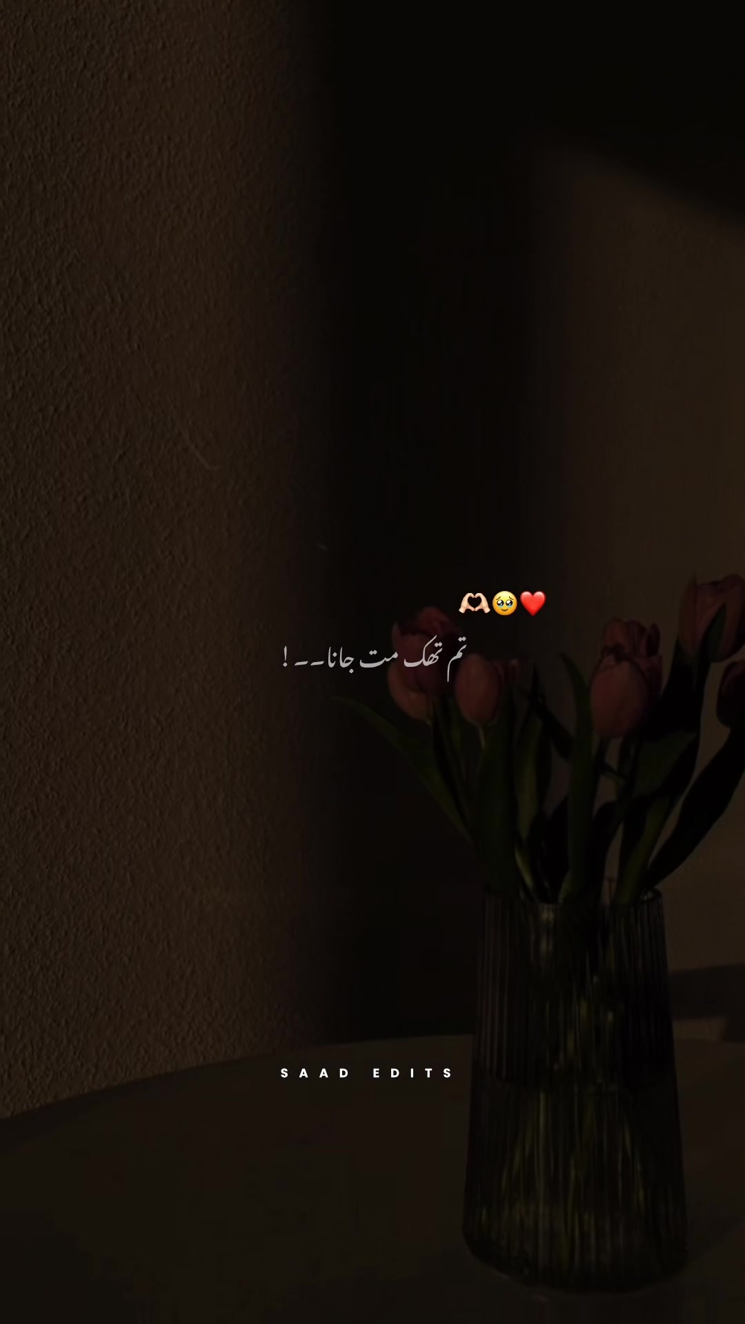 @๐๐ผ๐ผ๐ฟ ๐๐ฟ๐๐๐ ๐ท