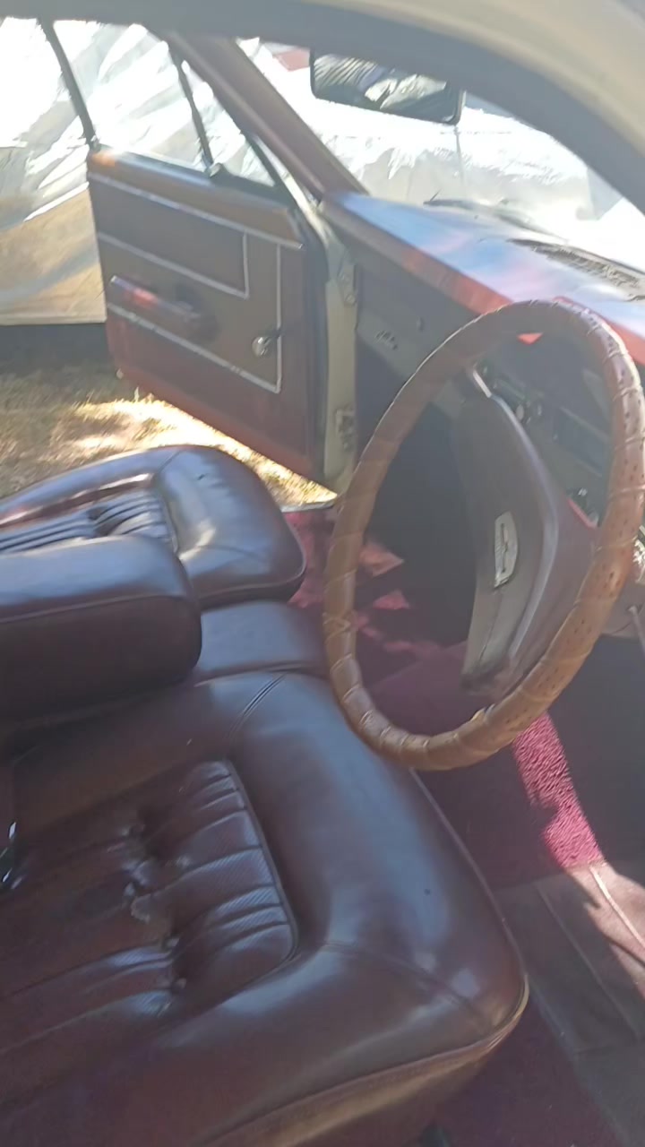 @kimmysclassiccars