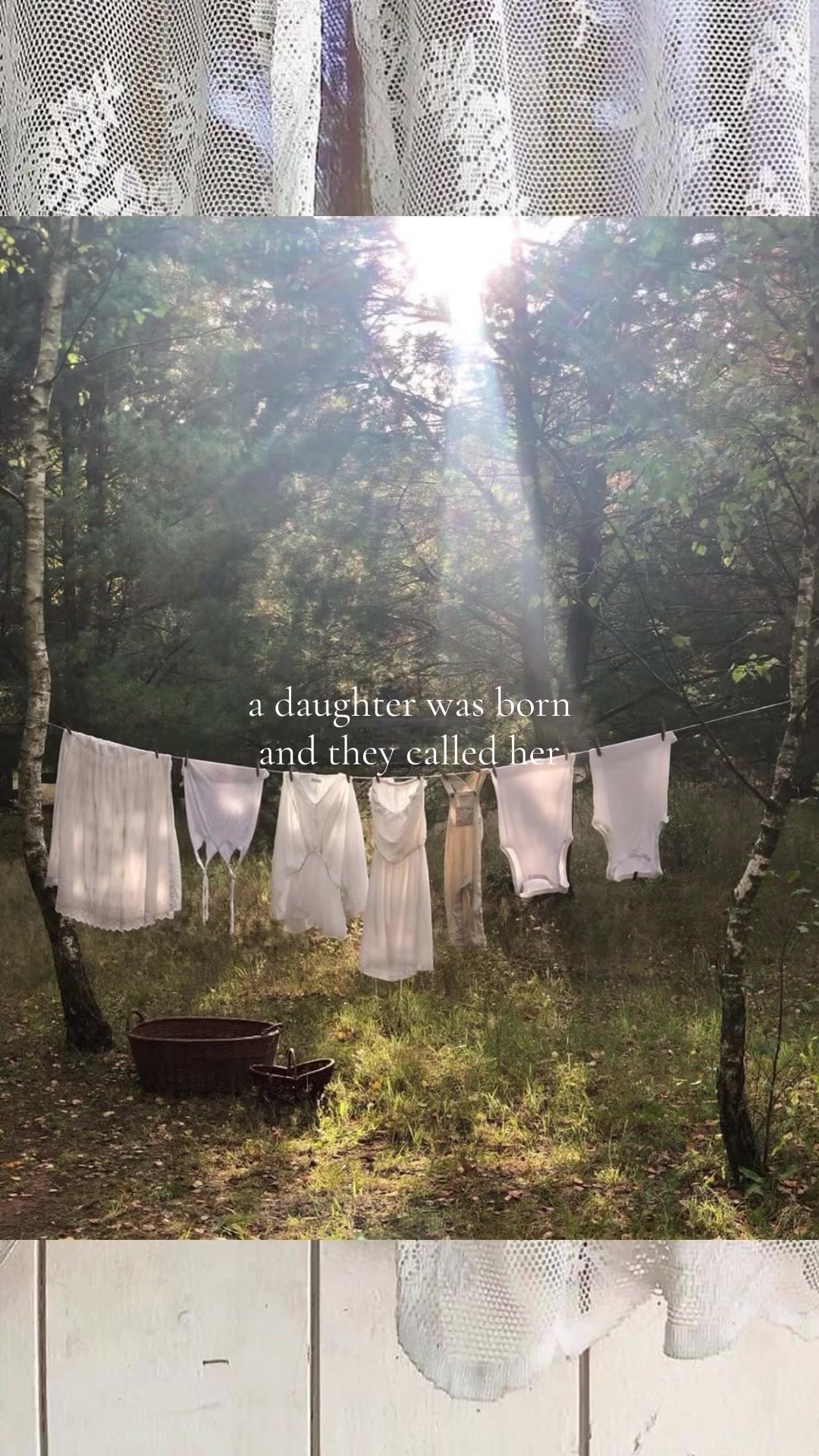 @softautumn
