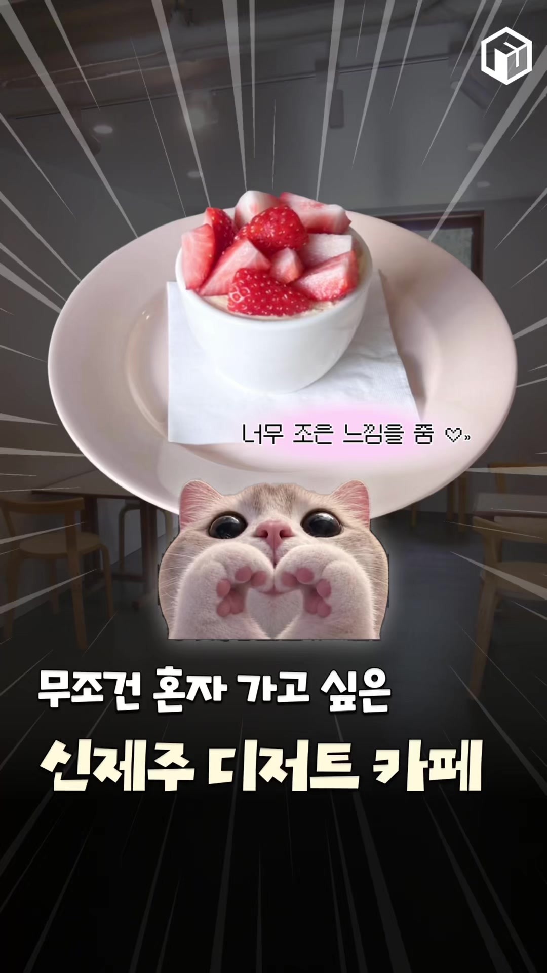 @제주톡톡