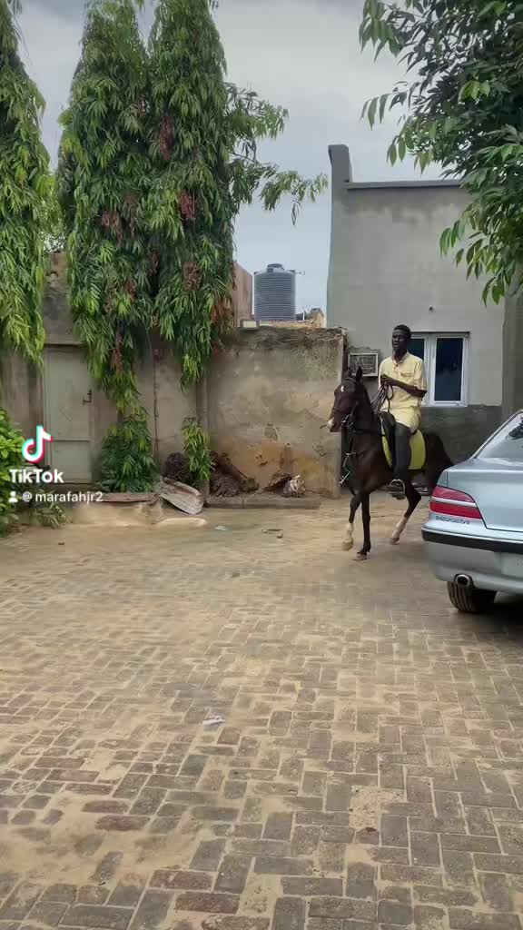 @Habu marafa