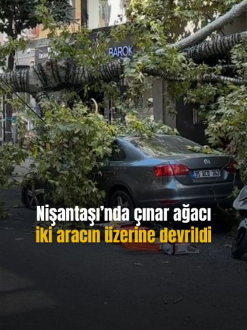 @Mynet
