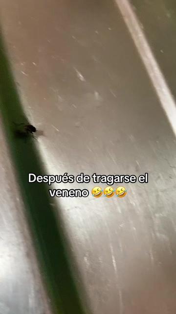 @johanamv67