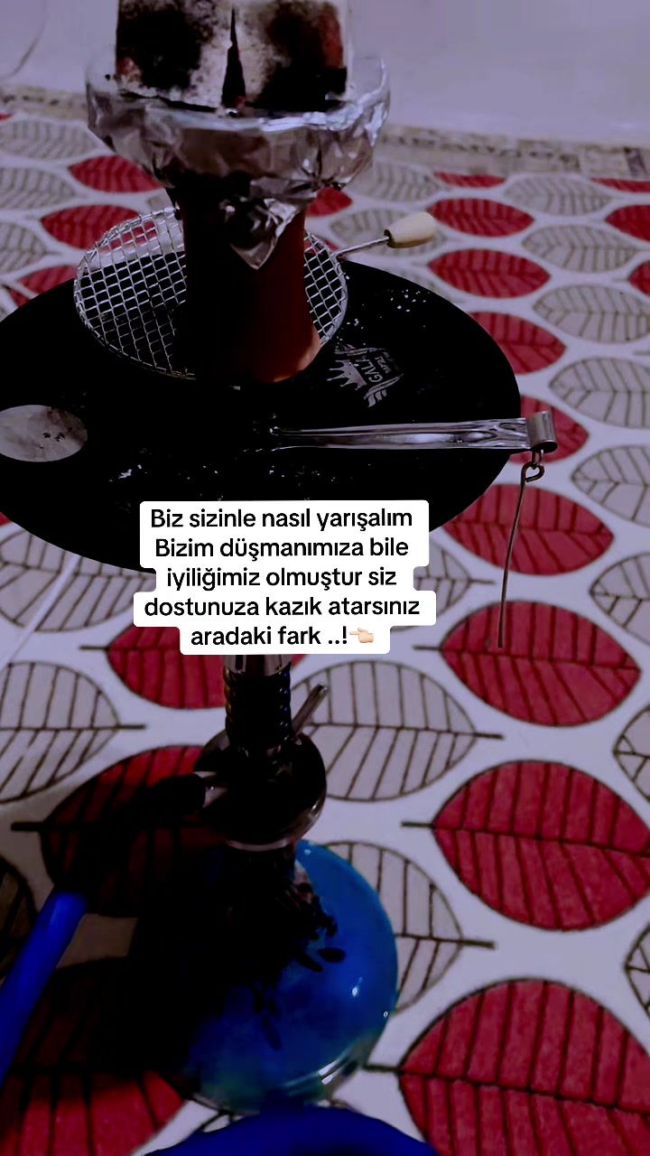 @❤️🩹buzlar kraliçesi.35❤️🩹