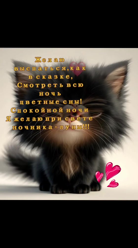 @🎀ЛАРИСА 🎀