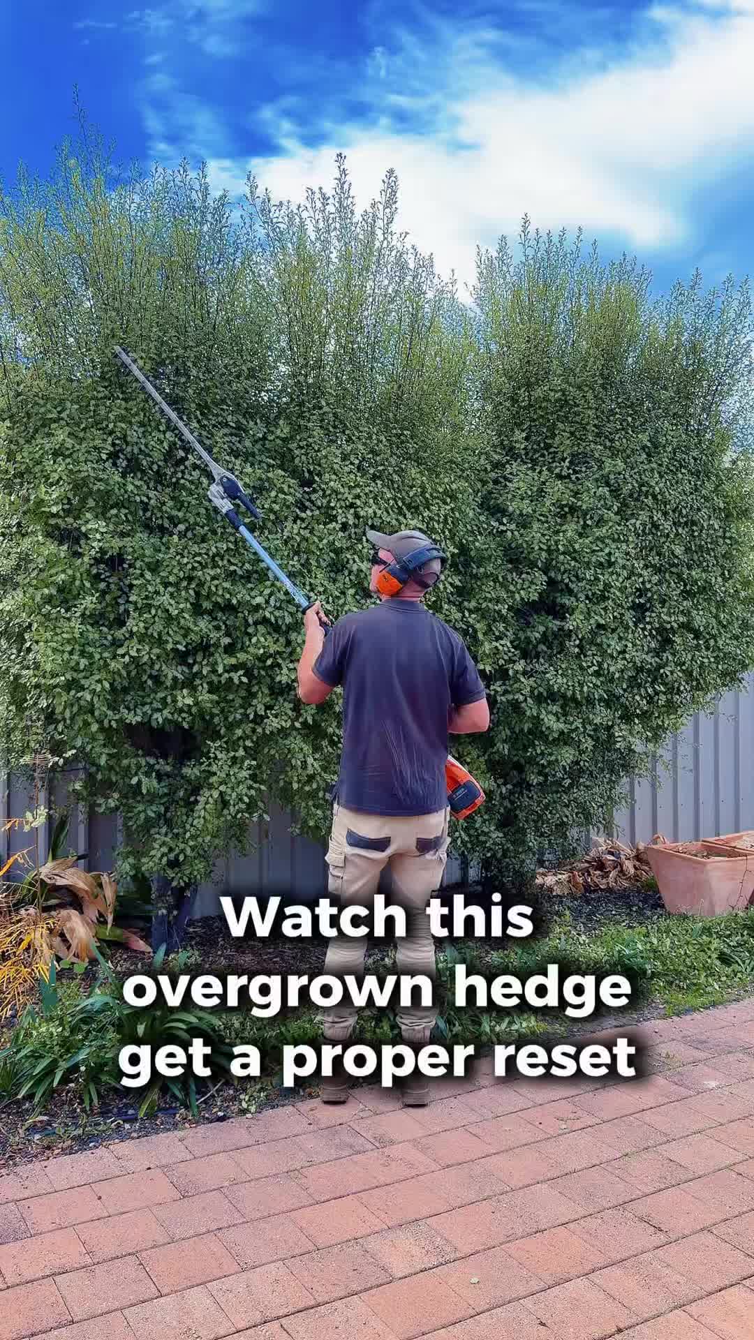 @Trusted Garden Maintenance