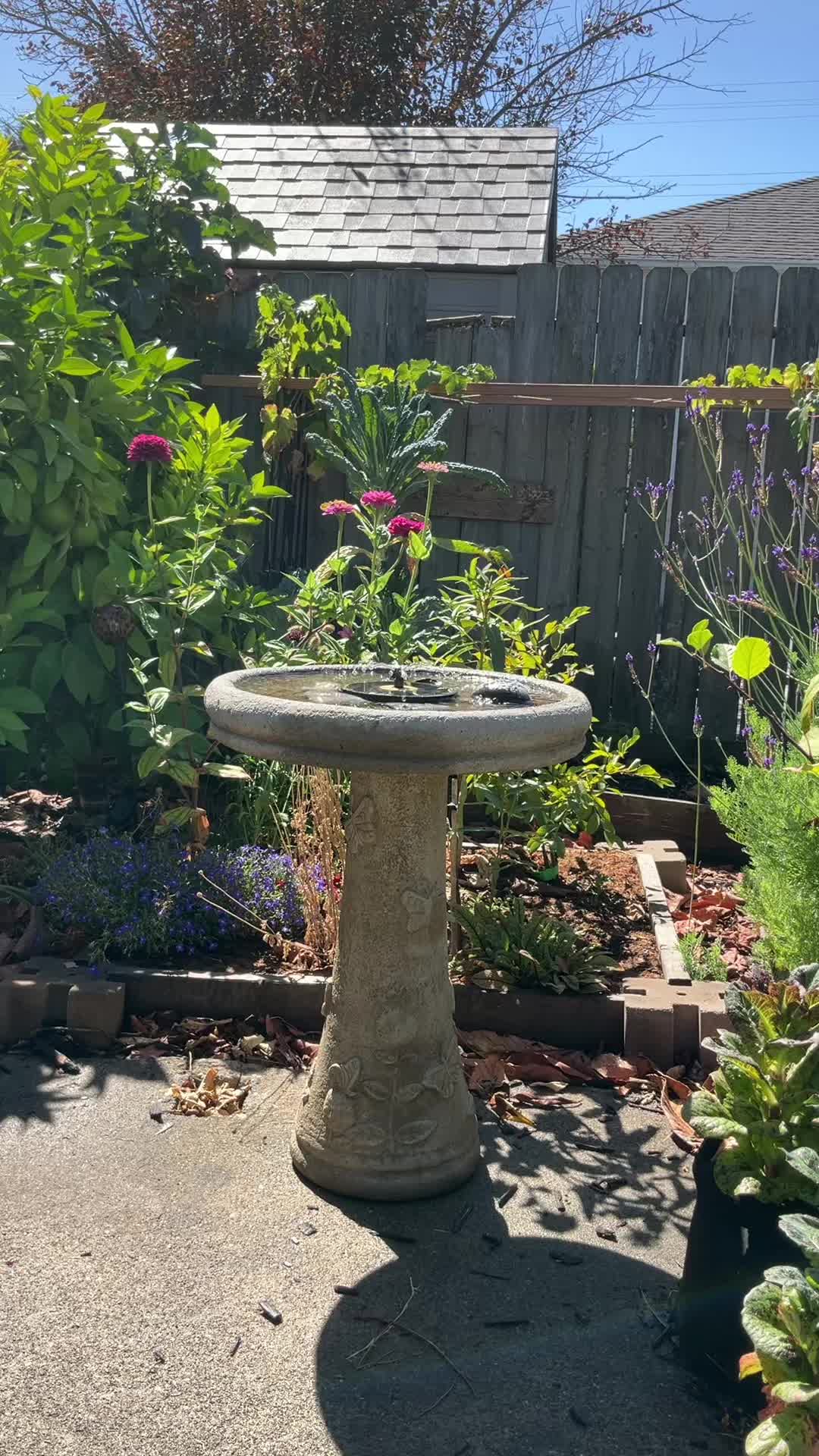 @oakland_garden_gal