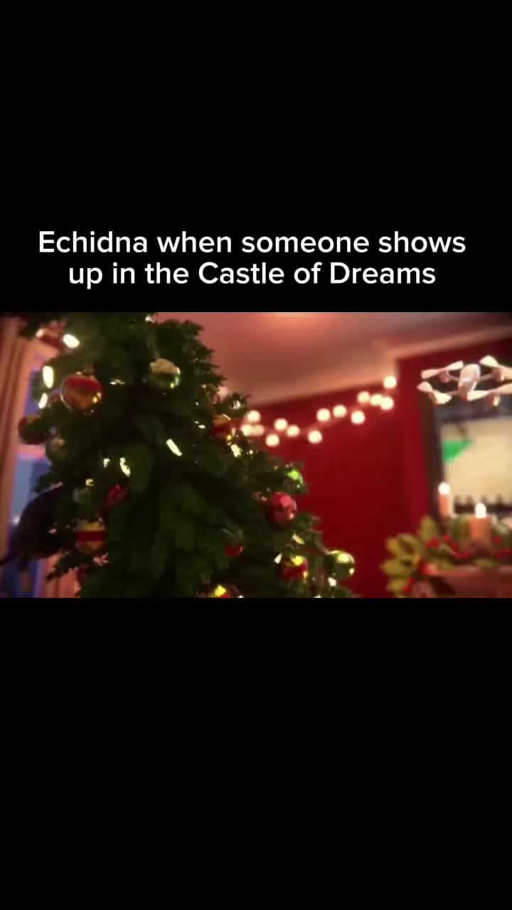@Milkies/Echidna