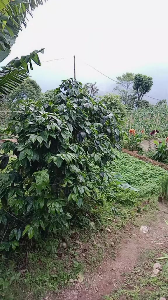 @भारद्वाज